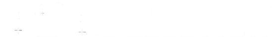 BELLEVIEW LOGO black background